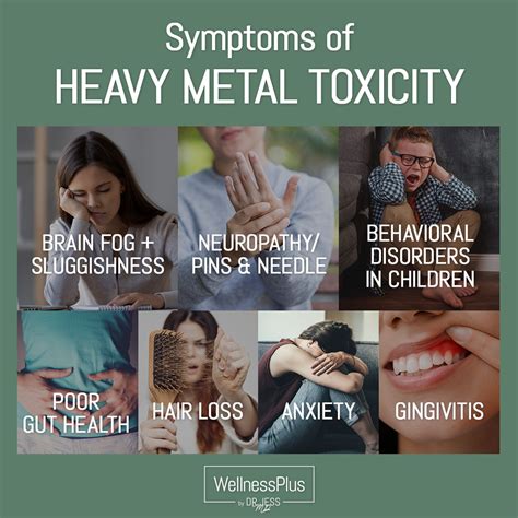 heavy metals around the house|signs of heavy metal exposure.